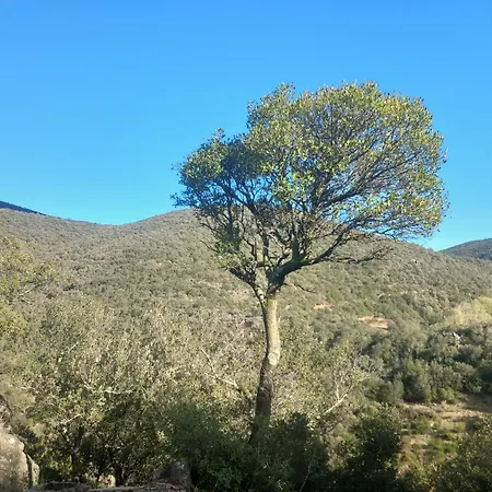 D'hotes De Charme * Boule-d'Amont